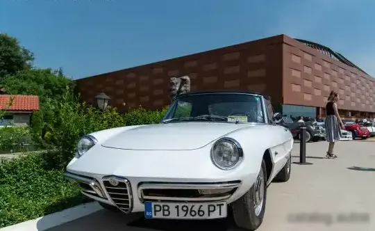 1966 Alfa Romeo Spider (105) - Photo 1