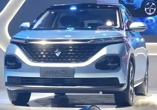 2019 Baojun RM-5 - Photo 1