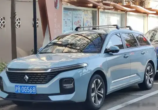 2021 Baojun Valli - Photo 1