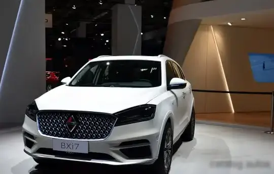 2019 Borgward Project BXi7 (Concept) - Photo 1