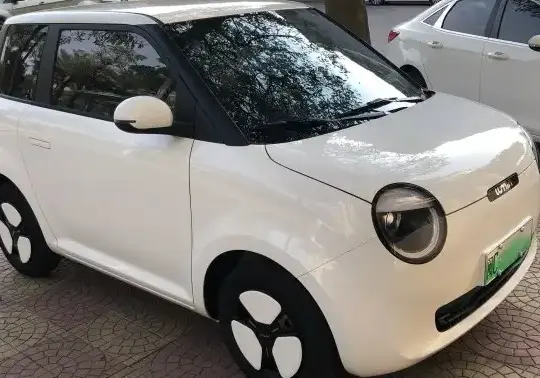 2022 ChangAn Lumin - Photo 1