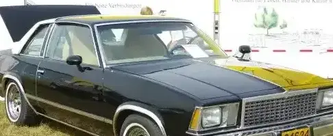 1978 Chevrolet Malibu IV Sport Coupe - Photo 1