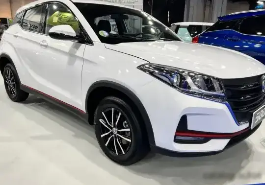 2022 DFSK 500 - Photo 1