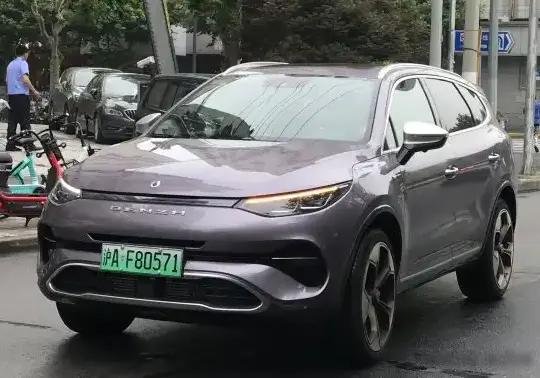 2019 Denza X - Photo 1