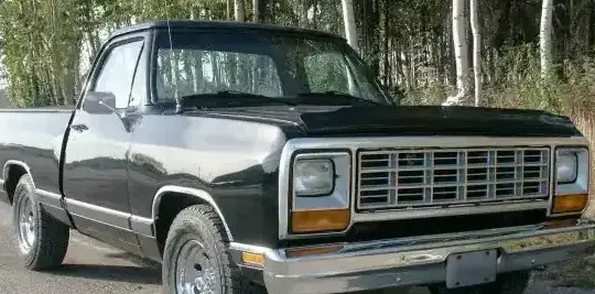 1981 Dodge Ram 150 Conventional Cab Short Bed (D/W) - Photo 1