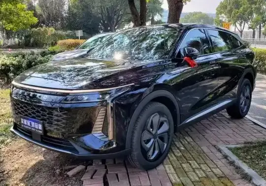 2023 Exeed Yaoguang - Photo 1