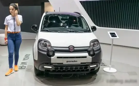 2018 Fiat Panda III City Cross - Photo 1