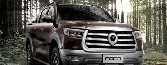 2021 Great Wall POER Passenger - Photo 1