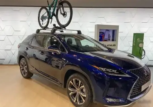 2020 Lexus RX IV (facelift 2019) - Photo 1