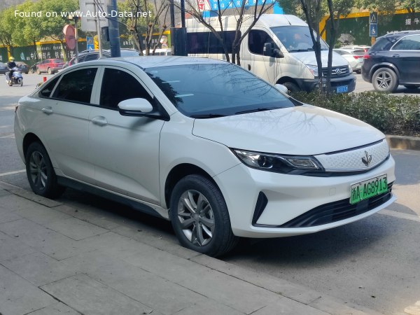 2022 Livan Maple 60S - Photo 1