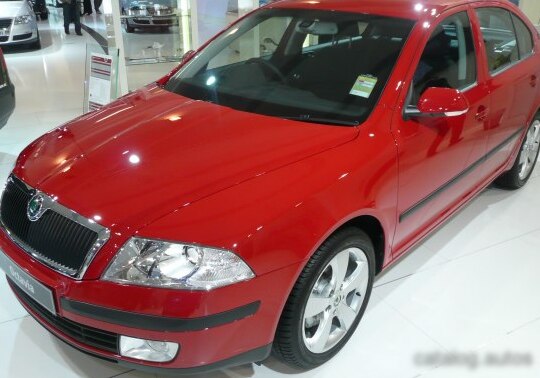 2004 Skoda Octavia II - Photo 1